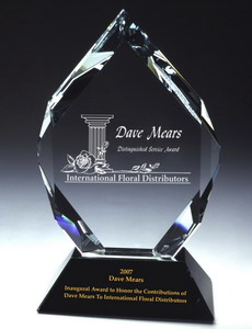 Dave Mears Service Award