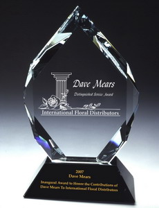 Dave Mears Service Award